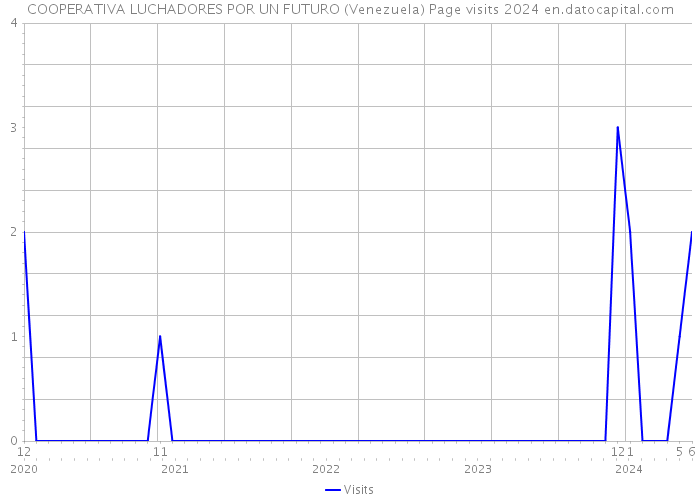 COOPERATIVA LUCHADORES POR UN FUTURO (Venezuela) Page visits 2024 