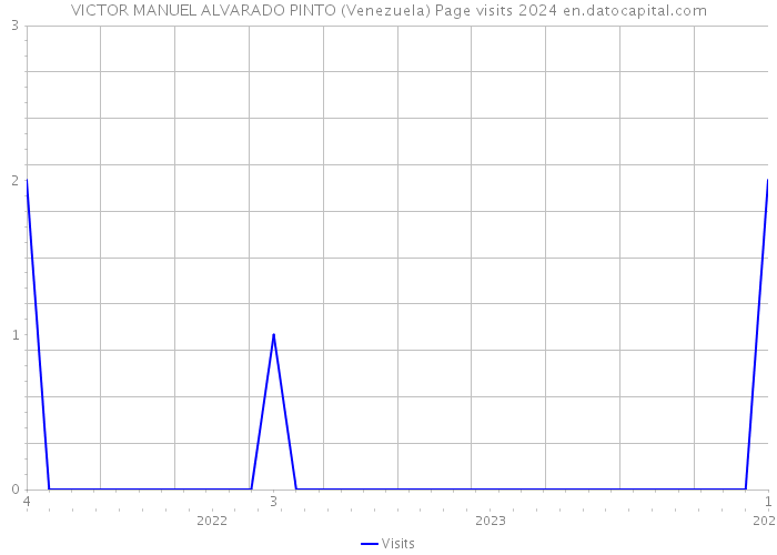 VICTOR MANUEL ALVARADO PINTO (Venezuela) Page visits 2024 