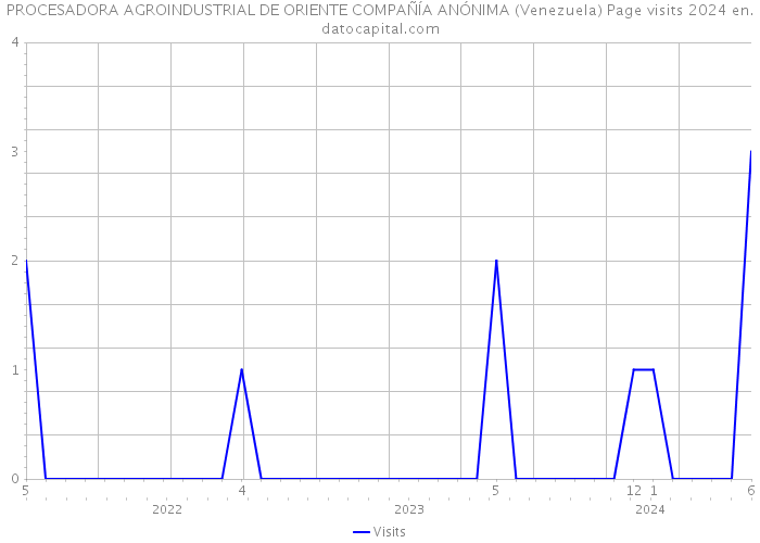 PROCESADORA AGROINDUSTRIAL DE ORIENTE COMPAÑÍA ANÓNIMA (Venezuela) Page visits 2024 