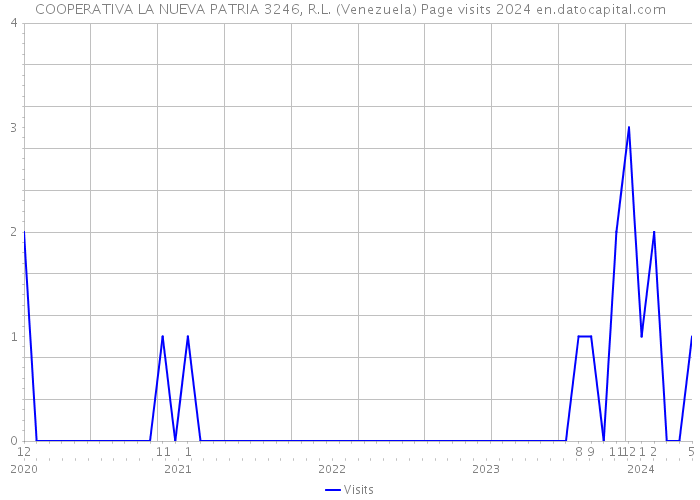 COOPERATIVA LA NUEVA PATRIA 3246, R.L. (Venezuela) Page visits 2024 