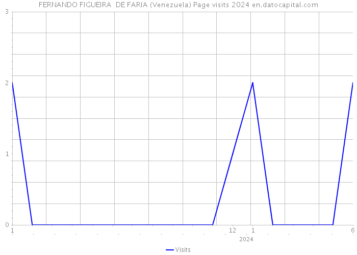 FERNANDO FIGUEIRA DE FARIA (Venezuela) Page visits 2024 