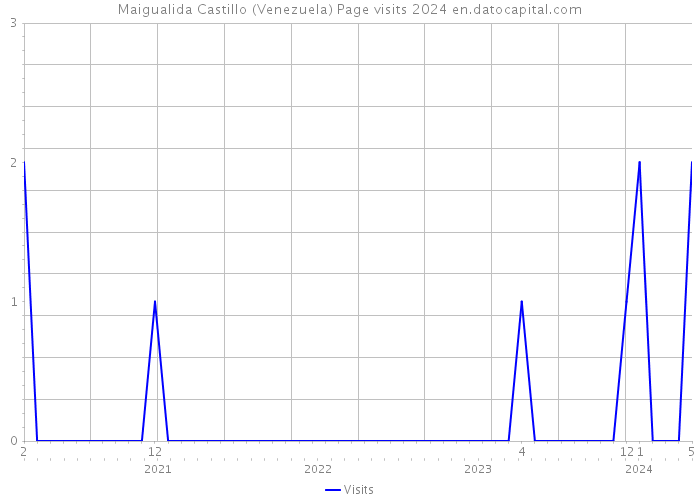 Maigualida Castillo (Venezuela) Page visits 2024 