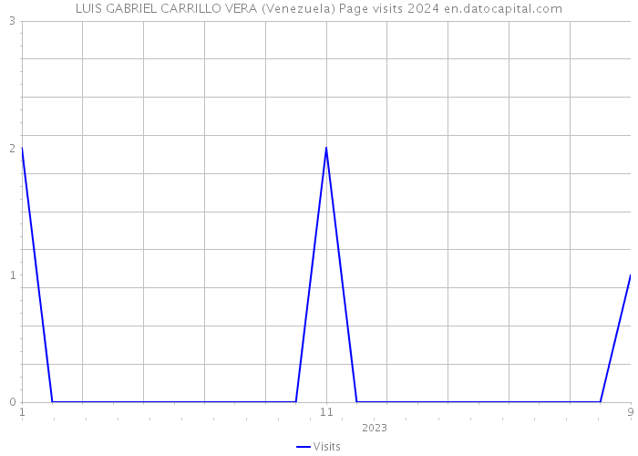 LUIS GABRIEL CARRILLO VERA (Venezuela) Page visits 2024 