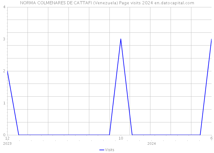 NORMA COLMENARES DE CATTAFI (Venezuela) Page visits 2024 