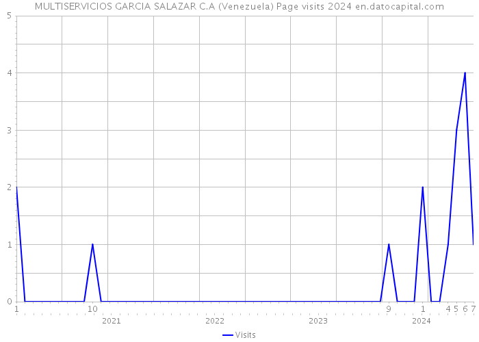 MULTISERVICIOS GARCIA SALAZAR C.A (Venezuela) Page visits 2024 