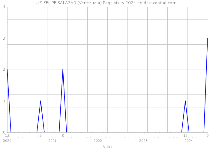 LUIS FELIPE SALAZAR (Venezuela) Page visits 2024 