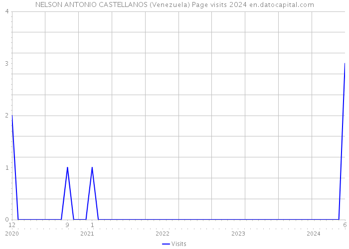 NELSON ANTONIO CASTELLANOS (Venezuela) Page visits 2024 