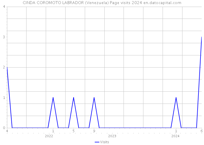 CINDA COROMOTO LABRADOR (Venezuela) Page visits 2024 