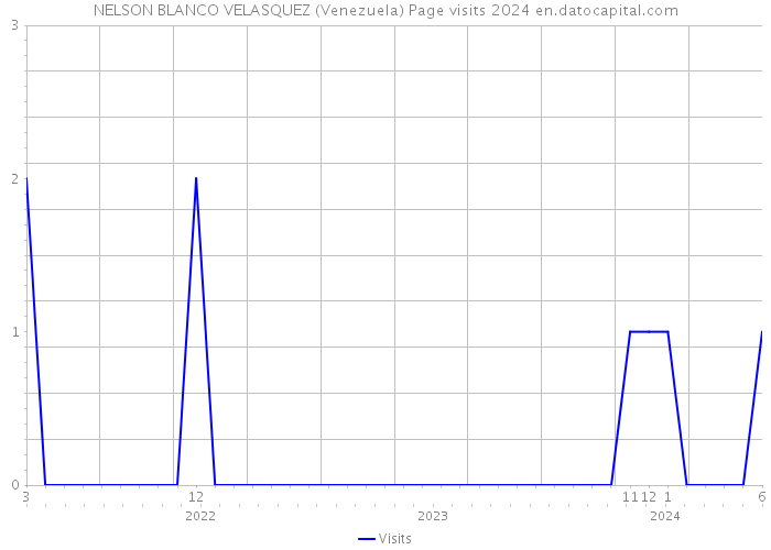 NELSON BLANCO VELASQUEZ (Venezuela) Page visits 2024 