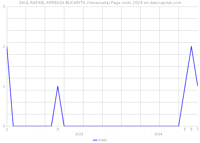 SAUL RAFAEL ARREAZA BUCARITA (Venezuela) Page visits 2024 