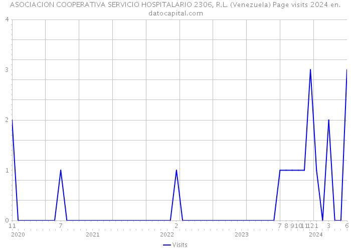 ASOCIACION COOPERATIVA SERVICIO HOSPITALARIO 2306, R.L. (Venezuela) Page visits 2024 