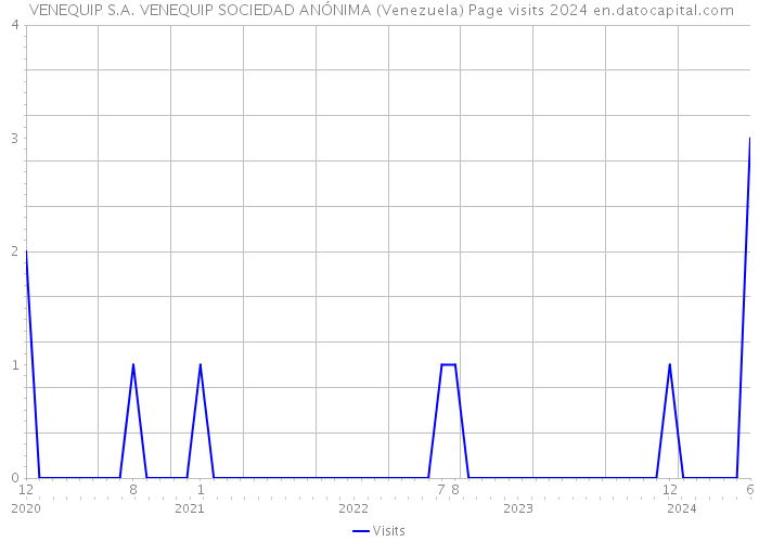  VENEQUIP S.A. VENEQUIP SOCIEDAD ANÓNIMA (Venezuela) Page visits 2024 