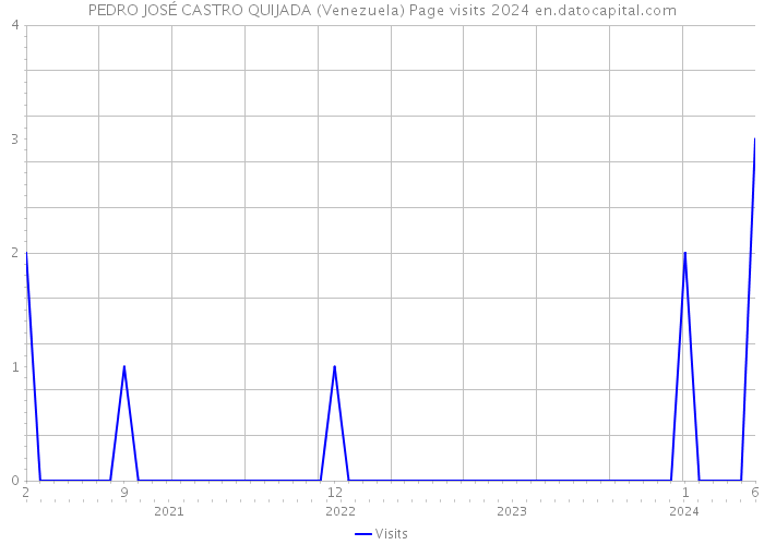 PEDRO JOSÉ CASTRO QUIJADA (Venezuela) Page visits 2024 