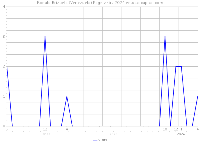 Ronald Brizuela (Venezuela) Page visits 2024 