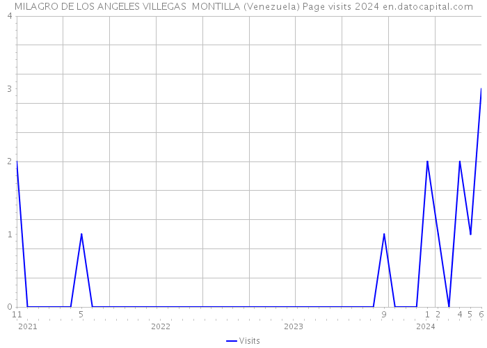 MILAGRO DE LOS ANGELES VILLEGAS MONTILLA (Venezuela) Page visits 2024 