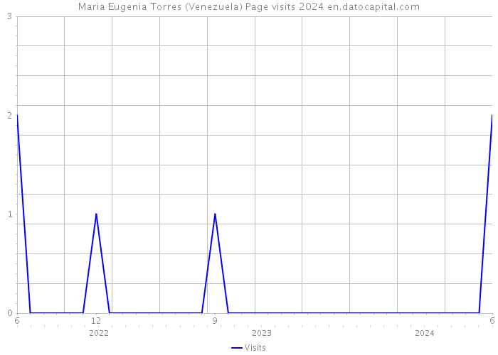 Maria Eugenia Torres (Venezuela) Page visits 2024 