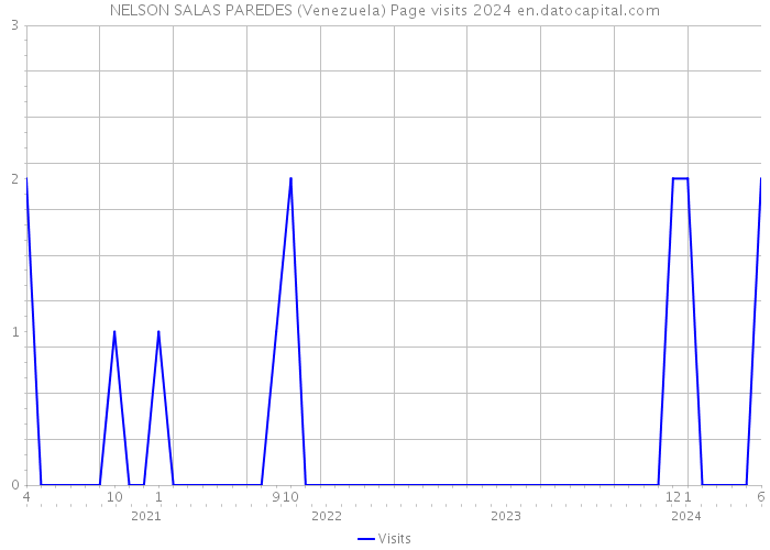 NELSON SALAS PAREDES (Venezuela) Page visits 2024 
