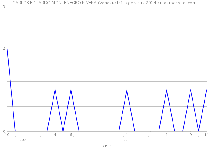 CARLOS EDUARDO MONTENEGRO RIVERA (Venezuela) Page visits 2024 