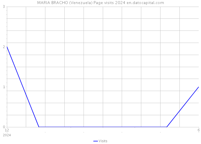 MARIA BRACHO (Venezuela) Page visits 2024 