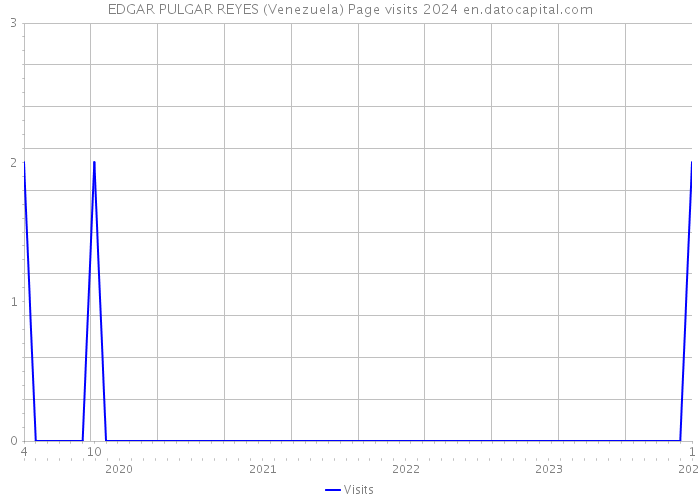 EDGAR PULGAR REYES (Venezuela) Page visits 2024 