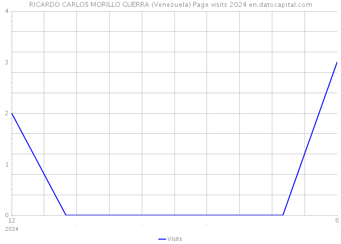 RICARDO CARLOS MORILLO GUERRA (Venezuela) Page visits 2024 