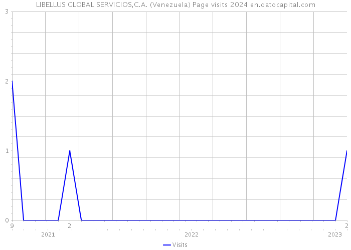 LIBELLUS GLOBAL SERVICIOS,C.A. (Venezuela) Page visits 2024 