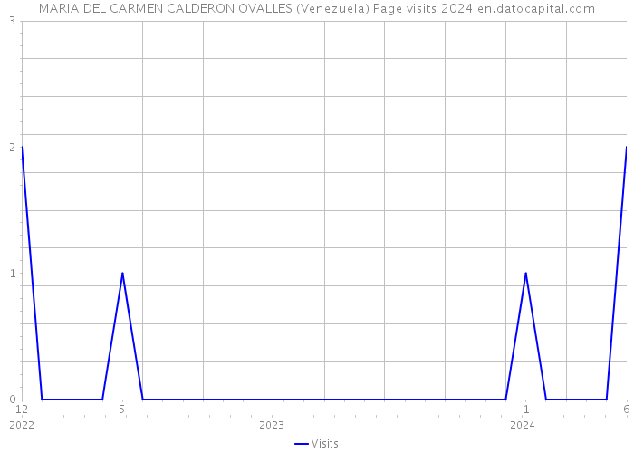 MARIA DEL CARMEN CALDERON OVALLES (Venezuela) Page visits 2024 