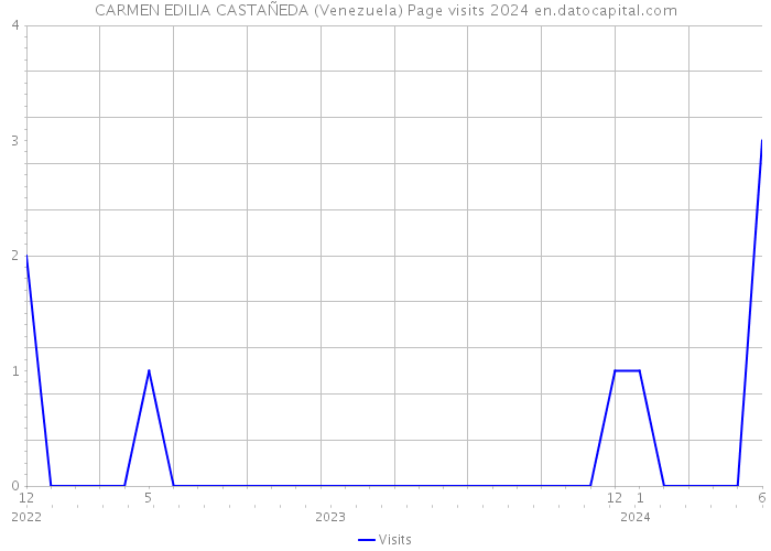 CARMEN EDILIA CASTAÑEDA (Venezuela) Page visits 2024 
