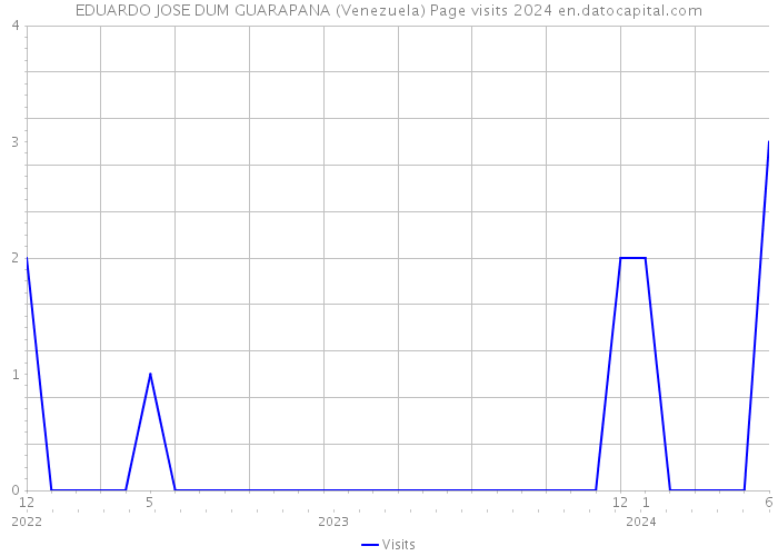 EDUARDO JOSE DUM GUARAPANA (Venezuela) Page visits 2024 