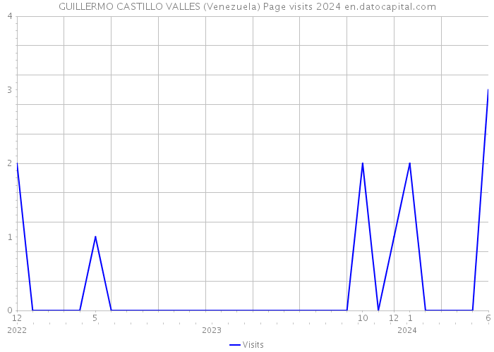 GUILLERMO CASTILLO VALLES (Venezuela) Page visits 2024 