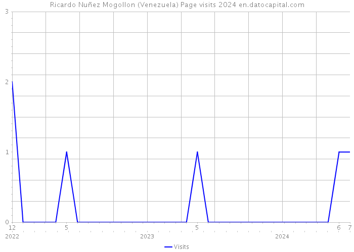 Ricardo Nuñez Mogollon (Venezuela) Page visits 2024 