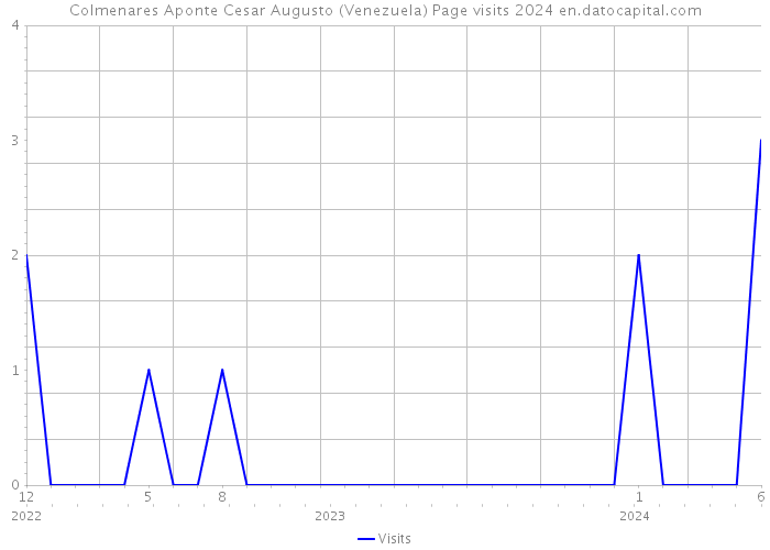 Colmenares Aponte Cesar Augusto (Venezuela) Page visits 2024 