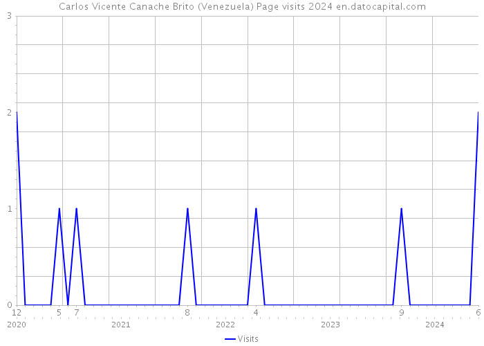 Carlos Vicente Canache Brito (Venezuela) Page visits 2024 