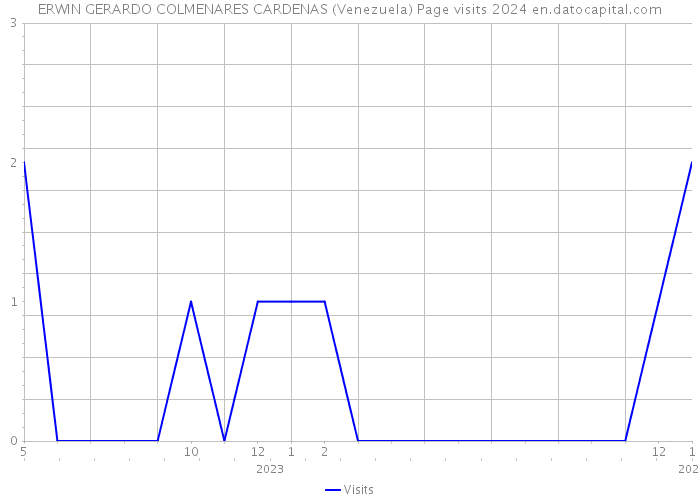 ERWIN GERARDO COLMENARES CARDENAS (Venezuela) Page visits 2024 