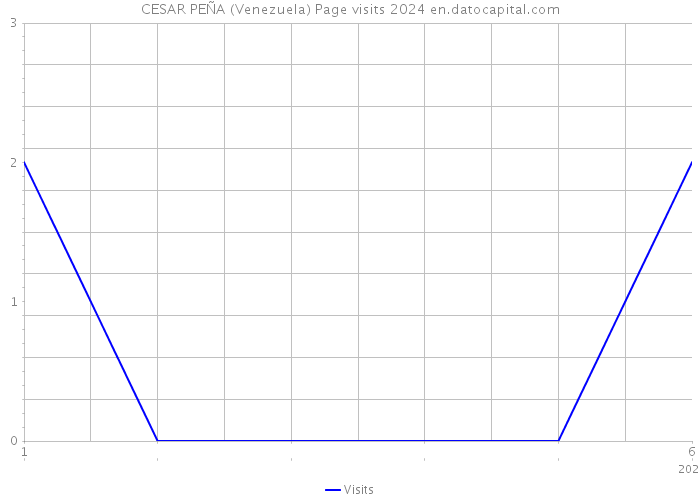 CESAR PEÑA (Venezuela) Page visits 2024 