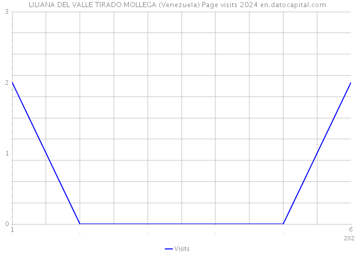 LILIANA DEL VALLE TIRADO MOLLEGA (Venezuela) Page visits 2024 