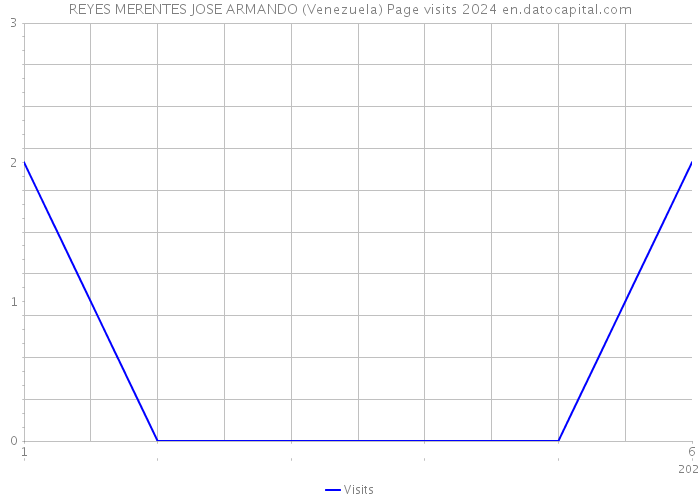 REYES MERENTES JOSE ARMANDO (Venezuela) Page visits 2024 