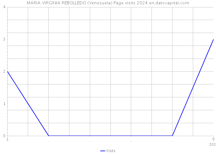 MARIA VIRGINIA REBOLLEDO (Venezuela) Page visits 2024 