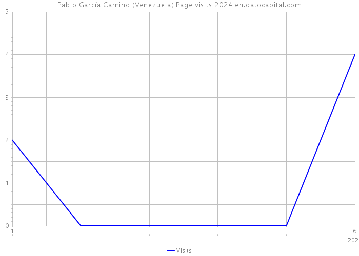 Pablo García Camino (Venezuela) Page visits 2024 