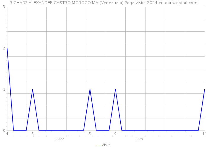 RICHARS ALEXANDER CASTRO MOROCOIMA (Venezuela) Page visits 2024 