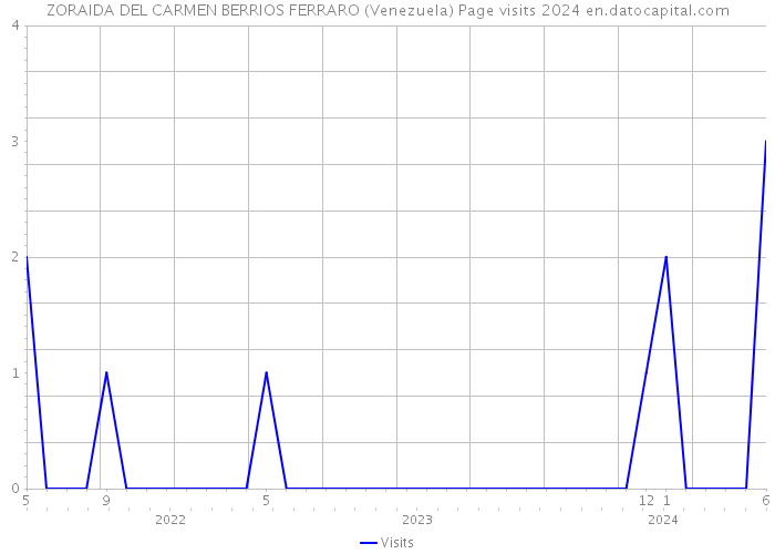 ZORAIDA DEL CARMEN BERRIOS FERRARO (Venezuela) Page visits 2024 