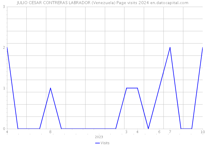 JULIO CESAR CONTRERAS LABRADOR (Venezuela) Page visits 2024 