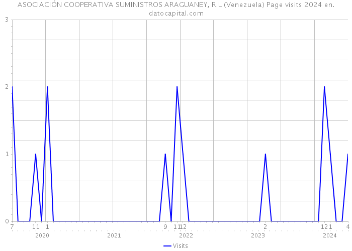 ASOCIACIÓN COOPERATIVA SUMINISTROS ARAGUANEY, R.L (Venezuela) Page visits 2024 