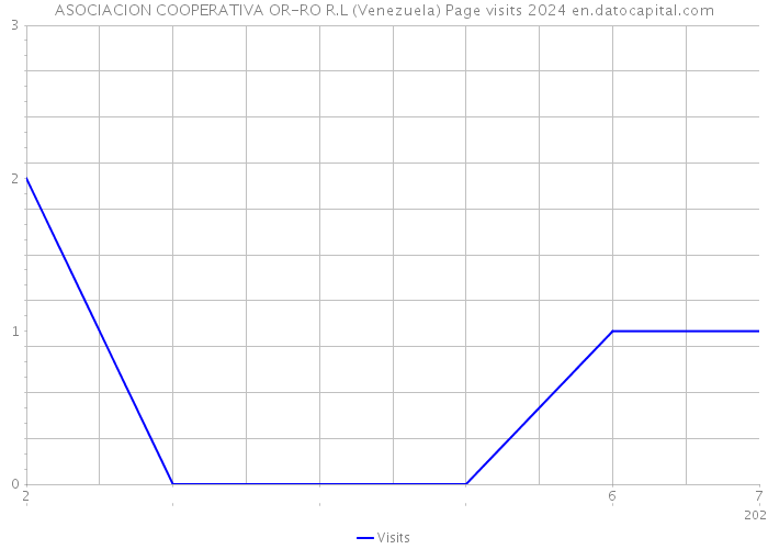 ASOCIACION COOPERATIVA OR-RO R.L (Venezuela) Page visits 2024 