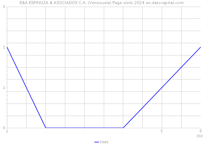 E&A ESPINOZA & ASOCIADOS C.A. (Venezuela) Page visits 2024 