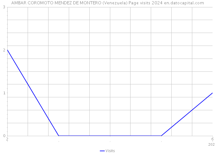 AMBAR COROMOTO MENDEZ DE MONTERO (Venezuela) Page visits 2024 