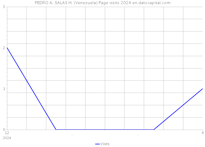 PEDRO A. SALAS H. (Venezuela) Page visits 2024 
