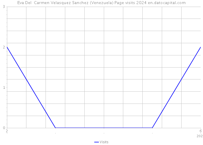 Eva Del Carmen Velasquez Sanchez (Venezuela) Page visits 2024 