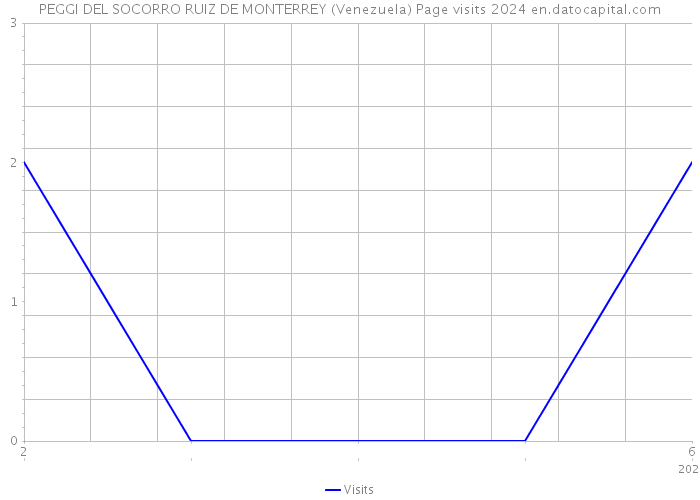 PEGGI DEL SOCORRO RUIZ DE MONTERREY (Venezuela) Page visits 2024 