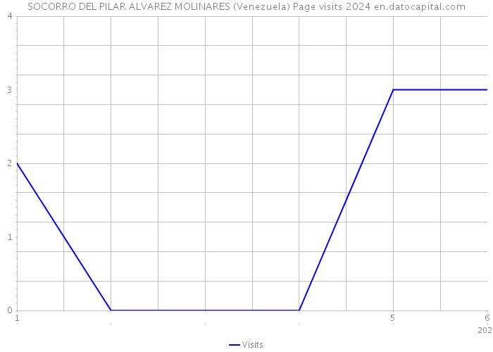 SOCORRO DEL PILAR ALVAREZ MOLINARES (Venezuela) Page visits 2024 